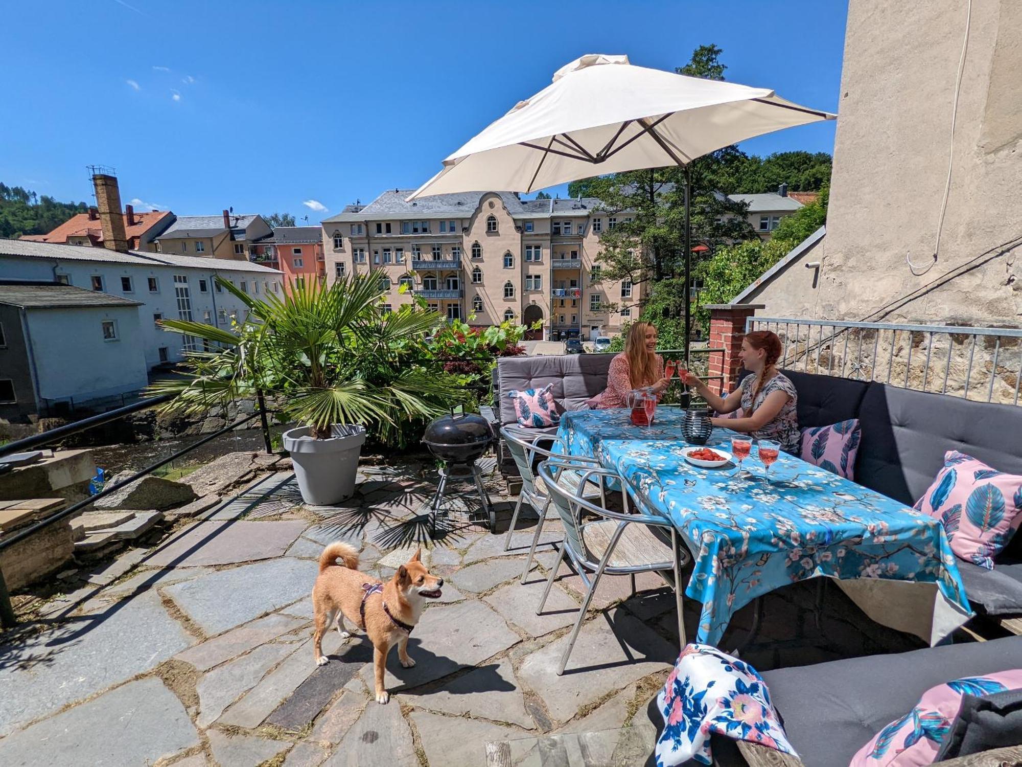 Uo2 - Urlaubsmagie - Garten, Whirlpool, Sauna Apartman Sebnitz Kültér fotó