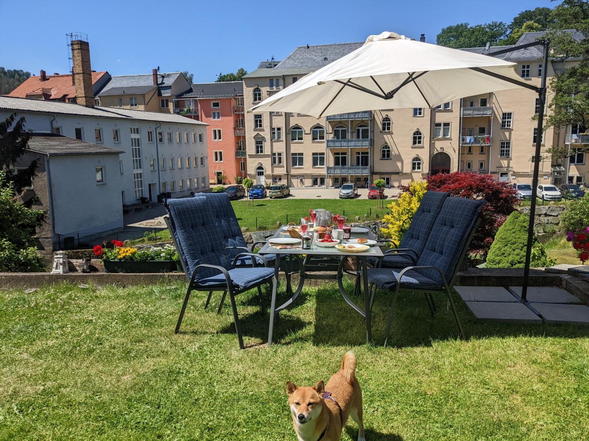 Uo2 - Urlaubsmagie - Garten, Whirlpool, Sauna Apartman Sebnitz Kültér fotó