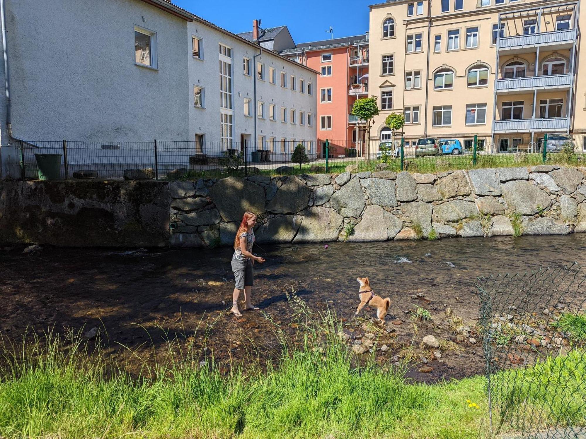 Uo2 - Urlaubsmagie - Garten, Whirlpool, Sauna Apartman Sebnitz Kültér fotó